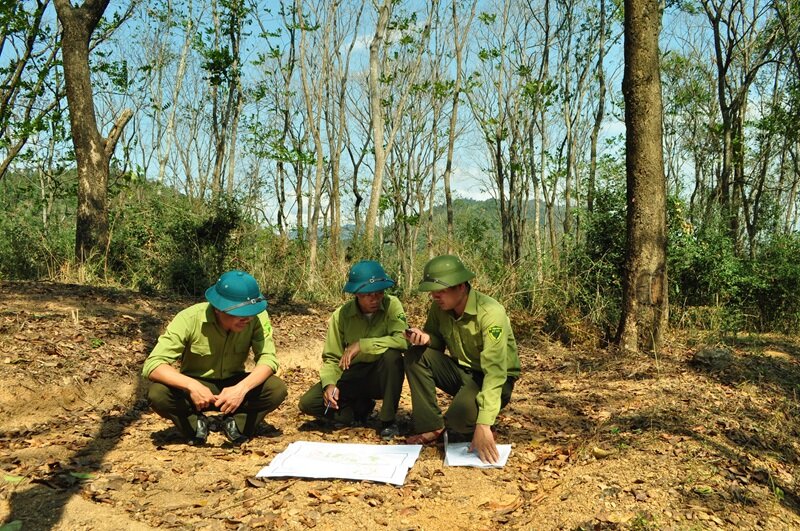 Sửa đổi, bổ sung quy định về nhiệm vụ, quyền hạn của Kiểm lâm và tổ chức Kiểm lâm